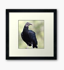 Sometimes... Framed Print