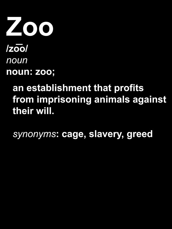 "Zoo Definition" by titantoplist Redbubble