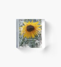 You Don't Know What You Get Back Until You Give Acrylic Block