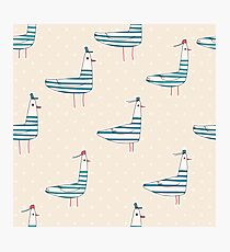 Seagulls Photographic Print