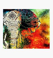 Elephant Mandala Blue Orange Yellow Green Photographic Print