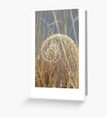Spiral-ized Greeting Card