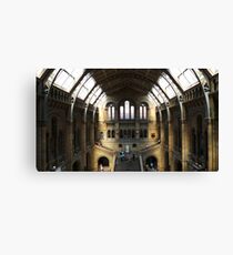 Natural History Museum, London Canvas Print