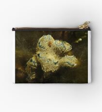 Sea squirts (Botrylloides leachii) - upper Spencer Gulf, South Australia Studio Pouch