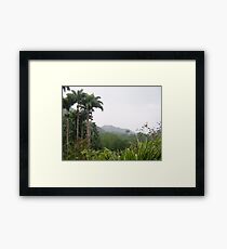 Dominica Rain Forest Framed Print