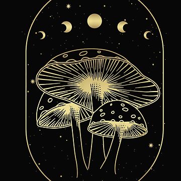 Moon Phases Crystals Mushrooms Succulents Witchy Hardcover Journal for  Sale by srojas26