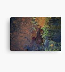 Explore Canvas Print