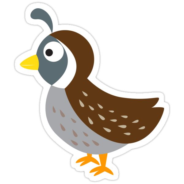 "Cute Quail" Stickers by Eggtooth Redbubble