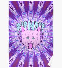 RIPNDIP Trippy Cat Poster