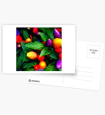 "Thai Chillies . ." Postcards