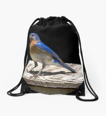 Male Blue Bird Portrait Drawstring Bag