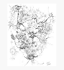 Biology of an Idea Photographic Print