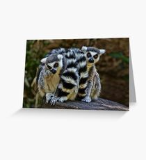 Twin Lemurs Greeting Card