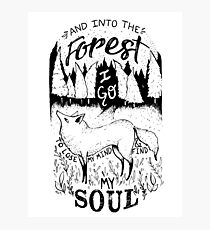 Into The Forest I Go Photographic Print