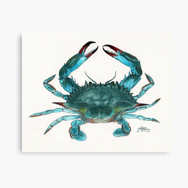 "Blue Crab" by Amber Marine, watercolor painting, © 2013 Canvas Print