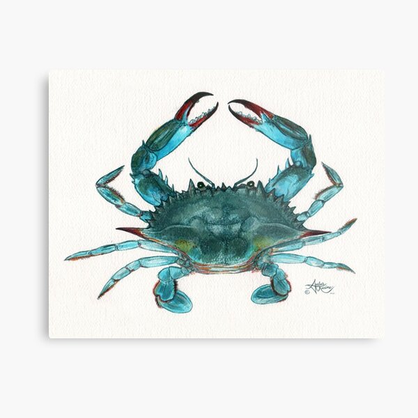"Blue Crab" by Amber Marine, watercolor painting, © 2013 Metal Print