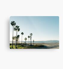 Southern California Palm Trees Metal Print