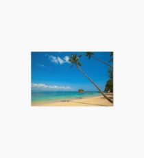 Tropical Palm Trees Art Board