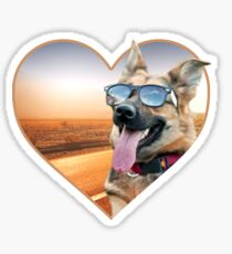 Pegatina Doggo Stickers: Cool Shepherd