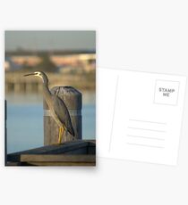 Standing Tall Postcards
