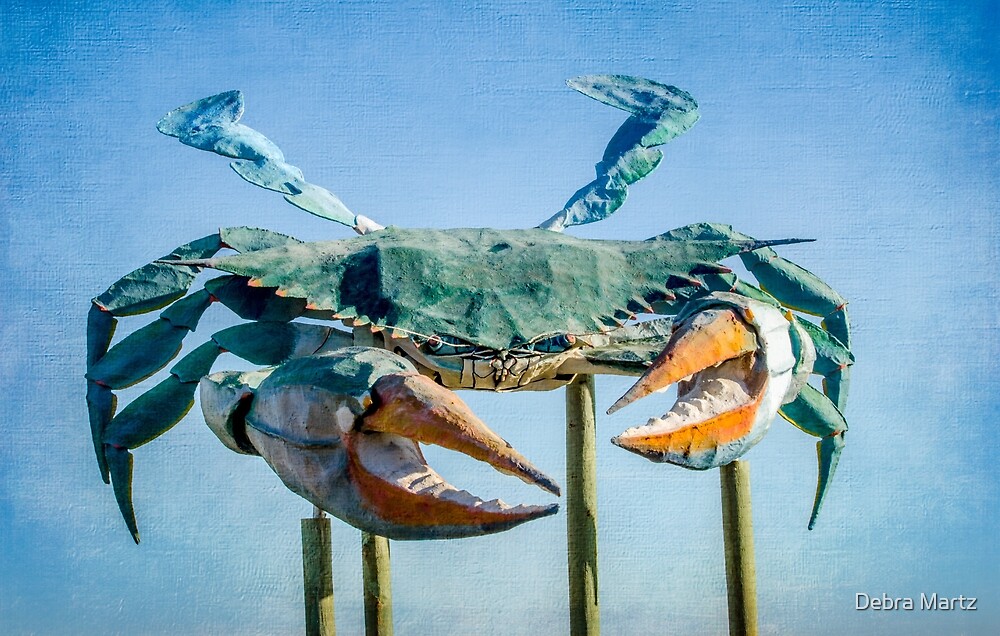 "World's Largest Blue Crab " by Debra Martz | Redbubble