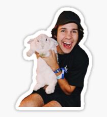 David Dobrik Sticker