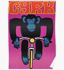 1968 Cyrk Radfahren Schimpanse polnischen Zirkus Poster Poster