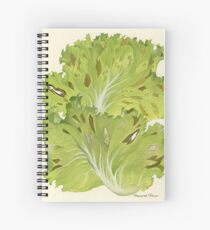 Falscher Mehltau des Kopfsalates Spiralblock