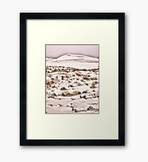 Scrub Brush Framed Print
