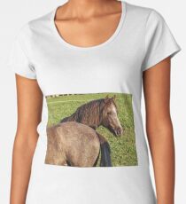 Front and Back Women's Premium T-Shirt