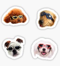 Doggo Stickers: Sunglasses #1 Sticker