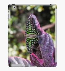 Tailed Jay iPad Case/Skin