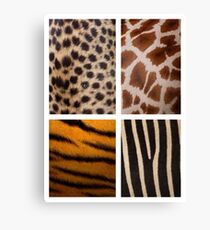 Textures of the Wild Canvas Print