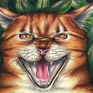 Tigerstar II Tigerheart Warrior Cats Postcard for Sale by alicialynne