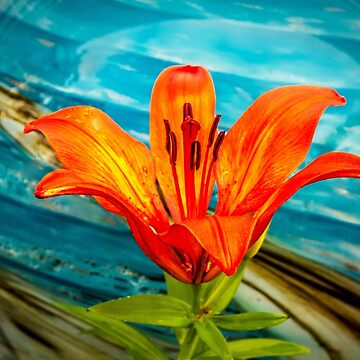 Artwork thumbnail, Tiger Lily and Blue Globe by jwwalter