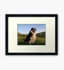 That's Life. Framed Print