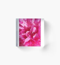 Peony Acrylic Block