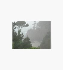 Foggy California cove Art Board