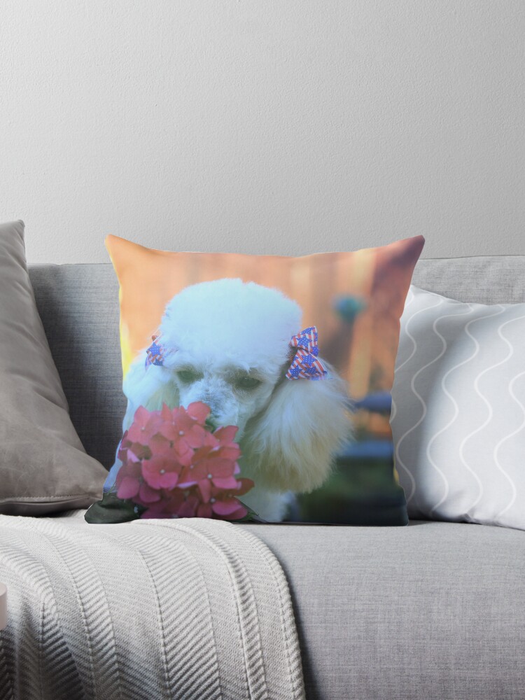 poodle throw pillows