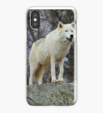 Arctic Wolf Watching iPhone Case