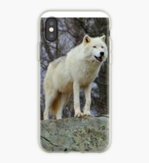 Arctic Wolf Watching iPhone Case