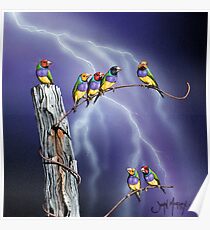 Rainbows after the Storm Poster