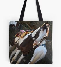 Pferd ! Tasche