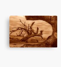"Framed" Canvas Print