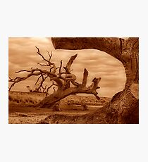"Framed" Photographic Print