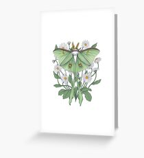 Metamorphosis Greeting Card
