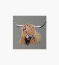 Cargill Coo Art Board