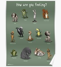 How Are You Feeling? Poster