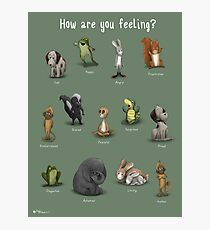 How Are You Feeling? Photographic Print