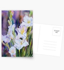 Stately Elegance Postcards
